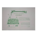 بازی فکری راز جنگل اصلی برند فکرآذین - Image 9