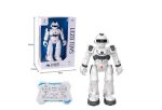 ربات کنترلی هوشمند LEZO TOYS مدل 99888/3
